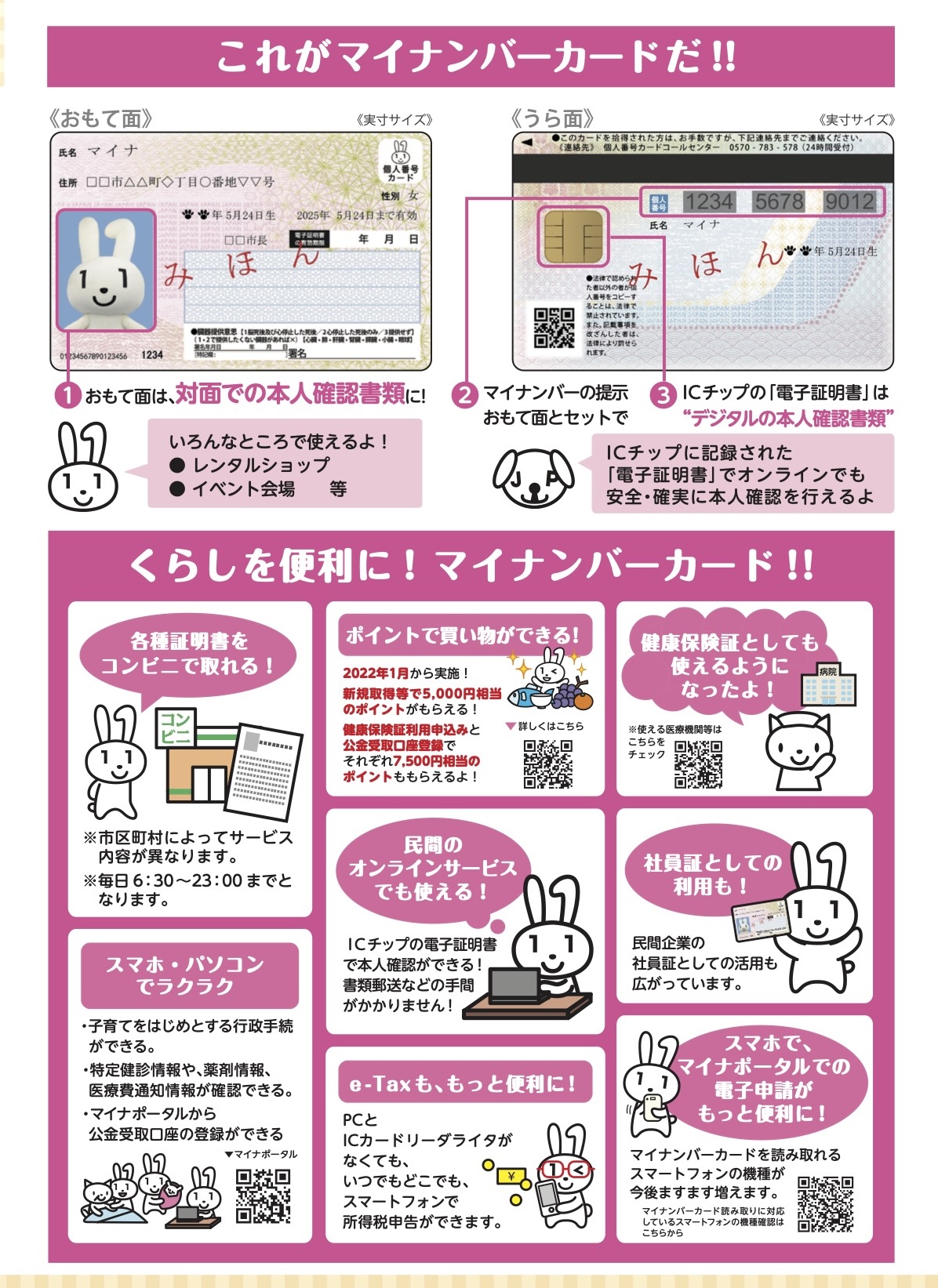 これがマイナンバーカードだ